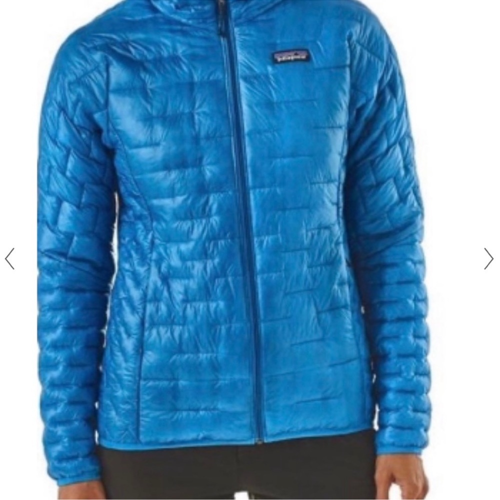 Patagonia MicroPuff Hoody